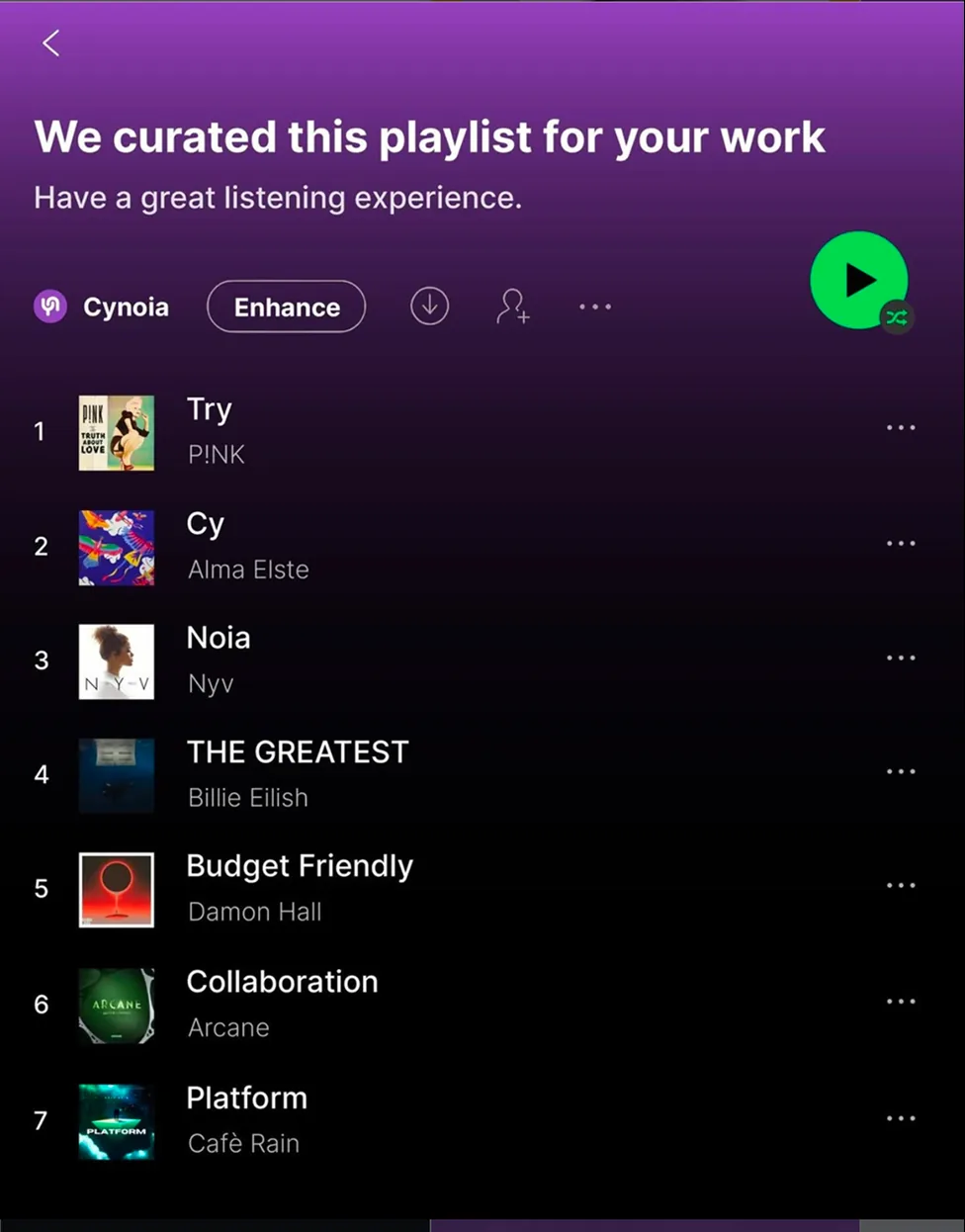 Cynoia meme: a work playlist styled like a streaming app, headed 'We curated this playlist for your work'