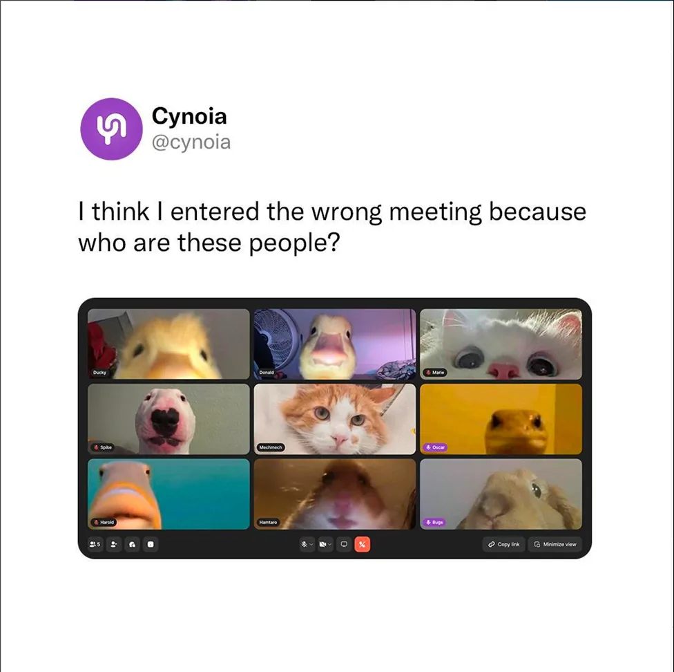 Cynoia meme: a video call full of animal faces, captioned 'I think I entered the wrong meeting because who are these people?'