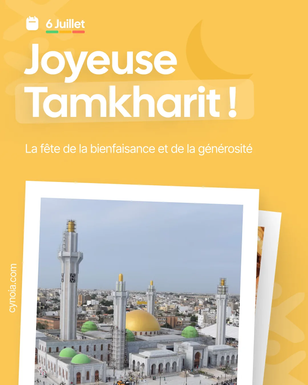 Cynoia post: Joyeuse Tamkharit
